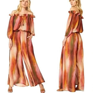 Misa Los Angles Surya Ombre Stripe Wide Leg Jumpsuit Size XS NWT